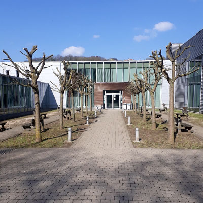élagage d'arbres à Verviers
