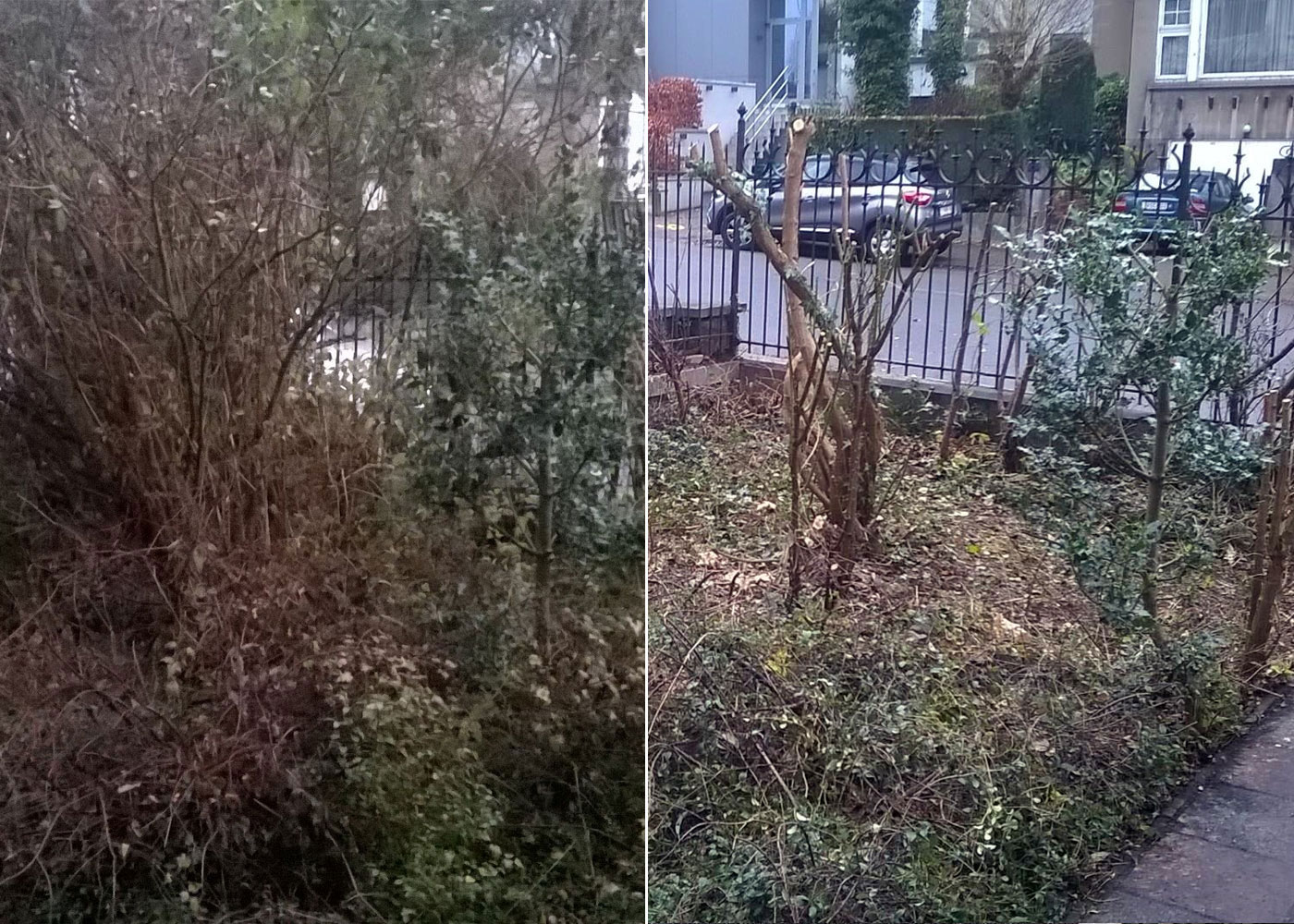 nettoyage d'un jardin à Verviers