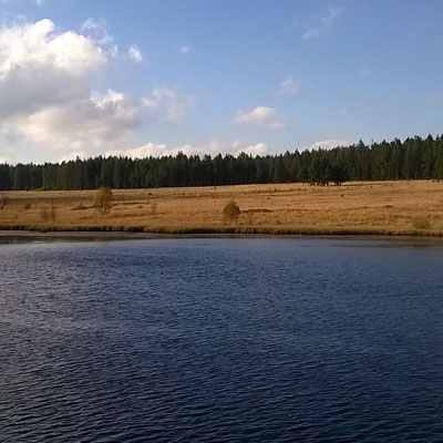 forêt et étang en Ardennes