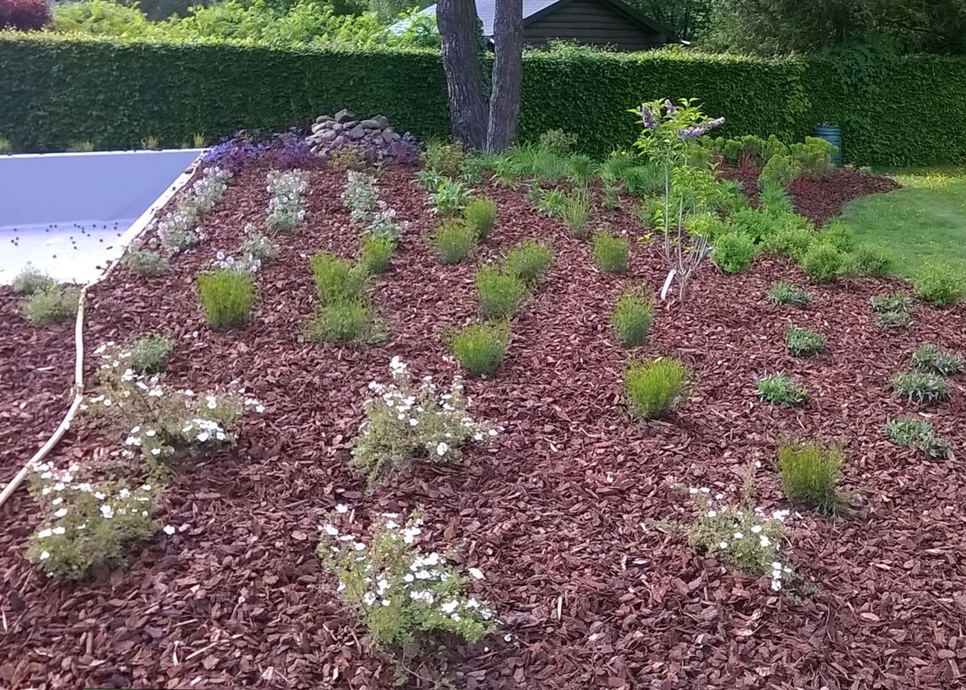 création d'un parterre avec plantations à Verviers