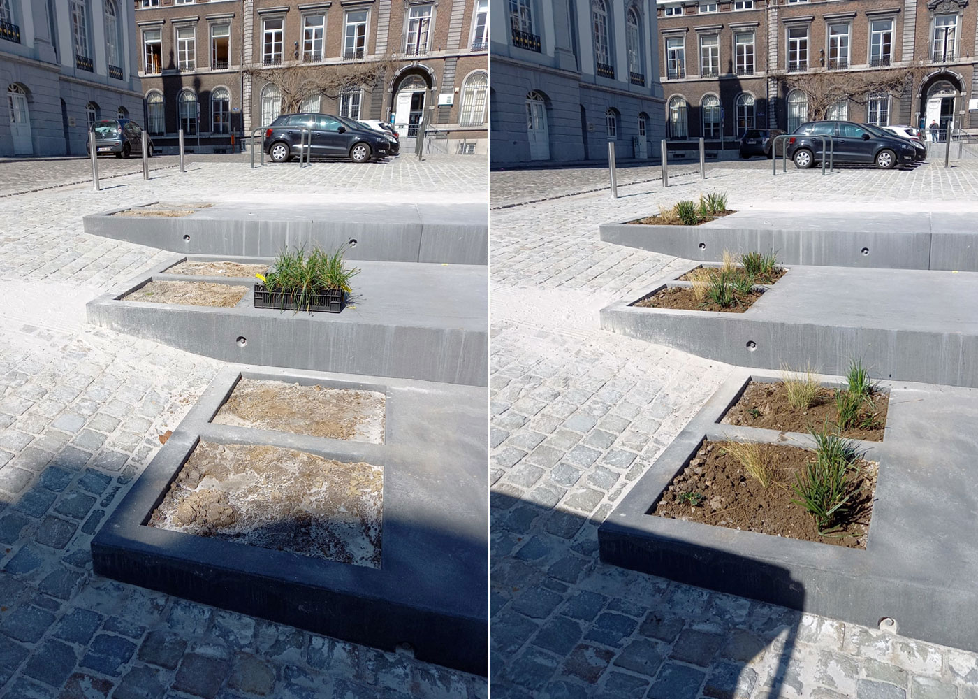 plantation de graminées dans le centre ville de Verviers