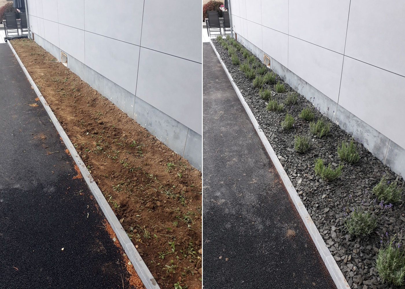 plantation de lavandes le long d'un mur à Spa